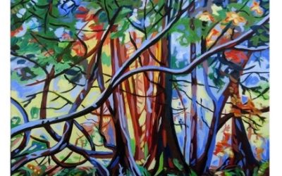 Through the Forest Into the Light – workshop with Susan Schaefer