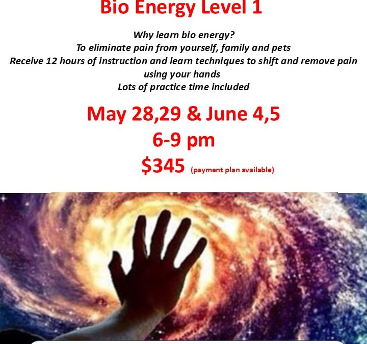 Bio Energy Level 1