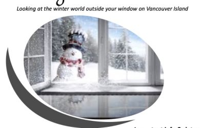 Through Winter Windows, OCAC Members Show 2023