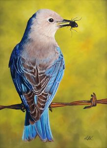 Female Mountain Bluebird 16x12 Apr 2022