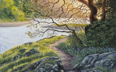 CATCHING GLIMMERS:   Sarah BOILEAU