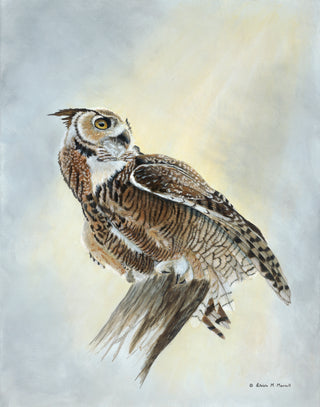 Sky Hunter