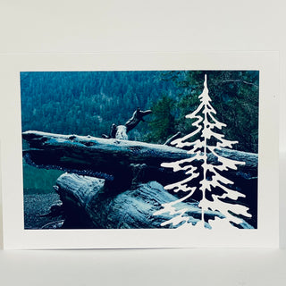 Jane Davidson - Christmas Card - White Christmas Tree -  - Card - McMillan Arts Centre & MAC Box Office