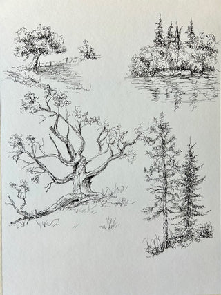 MAC School - Art Bites - Trees All Around Us with Jim Sears -  Oct 25, 2026
