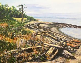 Hornby Island Shore