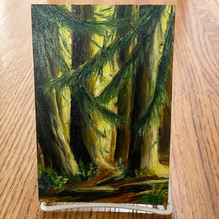 Margery Blom - Oil Painting - Cathedral Grove - 4" x 6" -  - Painting - McMillan Arts Centre & MAC Box Office