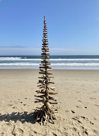 Drift Roots - Driftwood Tree - 54" tall -  - Wood Art - McMillan Arts Centre & MAC Box Office