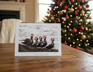 Jane Davidson - Christmas Card - Family of Ducks -  - Christmas Card - McMillan Arts Centre & MAC Box Office