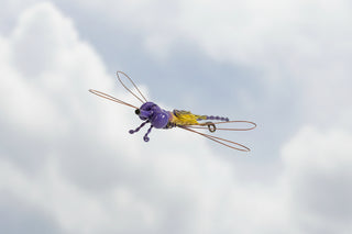 Nelson Shaw - Metal Art - Dragonfly -  - Metal Art - McMillan Arts Centre & MAC Box Office