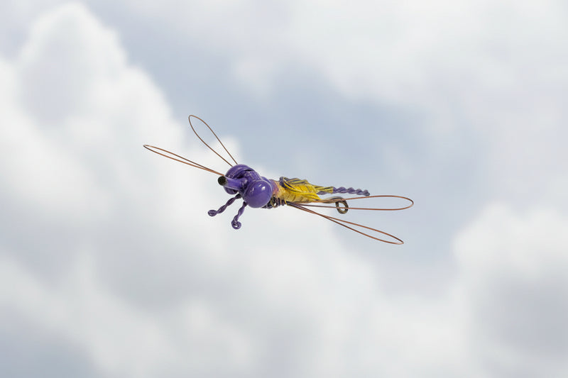 Nelson Shaw - Metal Art - Dragonfly -  - Metal Art - McMillan Arts Centre & MAC Box Office