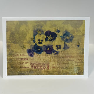 Vicky Paradice - Card - Pansies -  - Card - McMillan Arts Centre & MAC Box Office