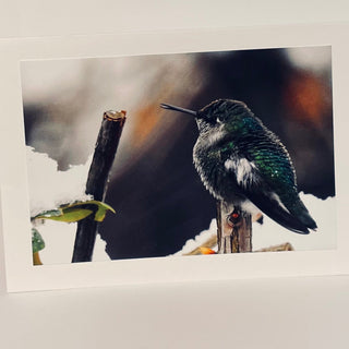 Jane Davidson - Card - Hummingbird -  - Card - McMillan Arts Centre & MAC Box Office
