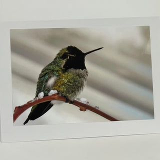 Jane Davidson - Card - Hummingbird -  - Card - McMillan Arts Centre & MAC Box Office
