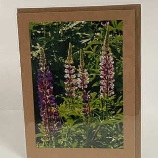 Jane Davidson - Card - Delphiniums -  - Card - McMillan Arts Centre & MAC Box Office