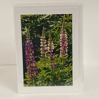 Jane Davidson - Card - Delphiniums -  - Card - McMillan Arts Centre & MAC Box Office