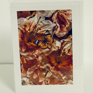 Jane Davidson - Card - Tigerlily with Butterfly -  - Card - McMillan Arts Centre & MAC Box Office