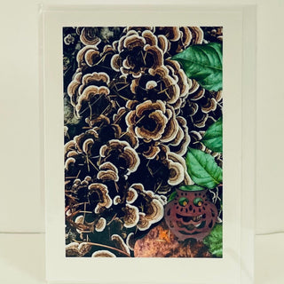 Jane Davidson - Card - Fungi with owl decal -  - Card - McMillan Arts Centre & MAC Box Office