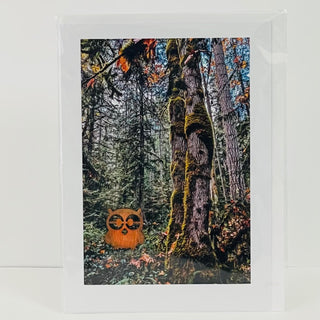 Jane Davidson - Card - Forest with owl decal -  - Card - McMillan Arts Centre & MAC Box Office
