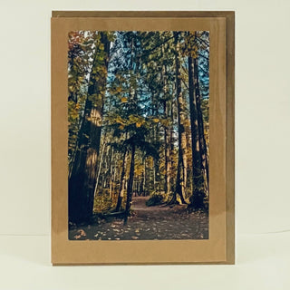 Jane Davidson - Card - Pathway Through the Forest -  - Card - McMillan Arts Centre & MAC Box Office