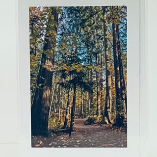 Jane Davidson - Card - Pathway Through the Forest -  - Card - McMillan Arts Centre & MAC Box Office