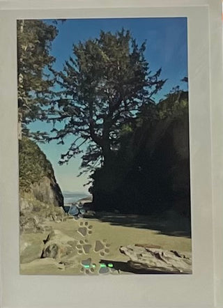 Jane Davidson - Card - Pet Sympathy -  - Card - McMillan Arts Centre & MAC Box Office