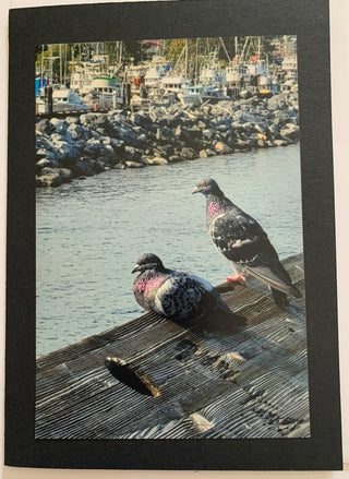 Linda Rutquist - Card - Photo - Campbell River - Pidgeons -  -  - McMillan Arts Centre & MAC Box Office