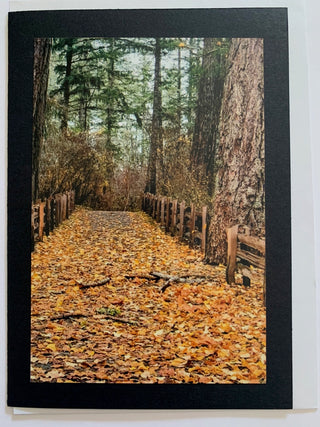 Linda Rutquist - Card - Photo - Miracle Beach -  - Card - McMillan Arts Centre & MAC Box Office