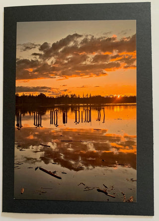 Linda Rutquist - Card - Photo - Oyster River Bird Park -  - Card - McMillan Arts Centre & MAC Box Office