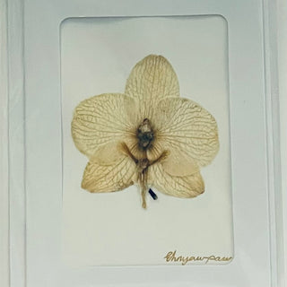 Ehnyawpaw Johidee - Card - Dried Flowers - 4.5" x 5.5" -  - Card - McMillan Arts Centre & MAC Box Office