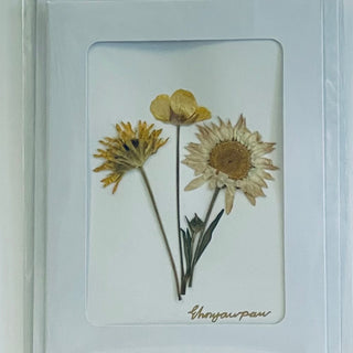 Ehnyawpaw Johidee - Card - Dried Flowers - 4.5" x 5.5" -  - Card - McMillan Arts Centre & MAC Box Office