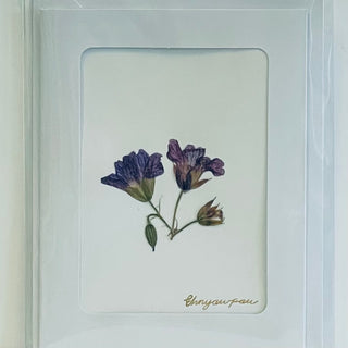 Ehnyawpaw Johidee - Card - Dried Flowers - 4.5" x 5.5" -  - Card - McMillan Arts Centre & MAC Box Office