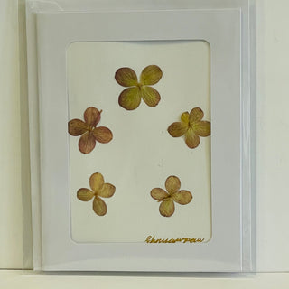 Ehnyawpaw Johidee - Card - Dried Flowers - 4.5" x 5.5" -  - Card - McMillan Arts Centre & MAC Box Office