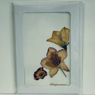 Ehnyawpaw Johidee - Card - Dried Flowers - 5" x 7" -  - Card - McMillan Arts Centre & MAC Box Office