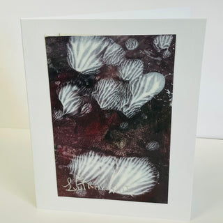 Elena Travanut - Card Original abstract of underwater shells -  - Card - McMillan Arts Centre & MAC Box Office
