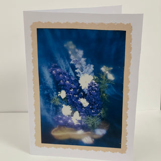 Penny Marshall - Card-  Photo - Delphiniums -  - Card - McMillan Arts Centre & MAC Box Office