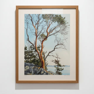 Kelly Corbett - Print - "Poise" - unframed -  - Print - McMillan Arts Centre & MAC Box Office