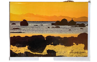 Vince Kehn - Card -  Seal & Seagull Silhouette