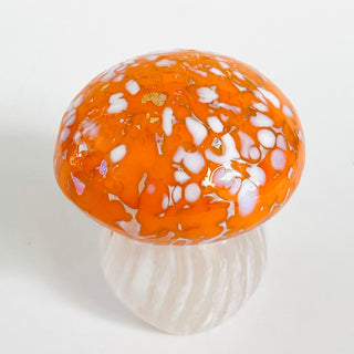 Cinderellas Glass - Mushroom - Orange - Large