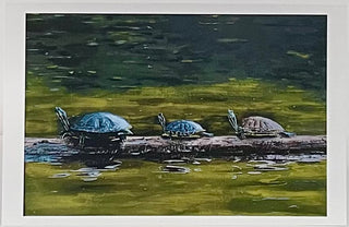 Gene Belliveau - Card - Beacon Hill Park Turtles -  -  - McMillan Arts Centre & MAC Box Office