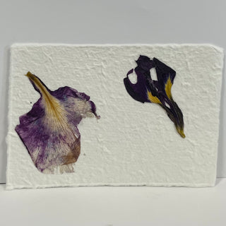 Ani MacGillivary - Card - Pressed Flowers