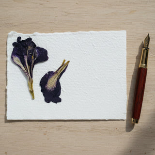 Ani MacGillivary - Card - Pressed Flowers