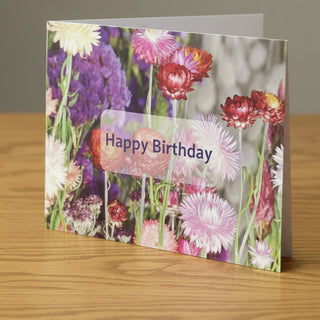 Ute Baur - Card - Wildflower Bloom (Happy Birthday)