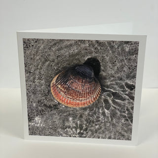 Teresa Healy - Card - Shellscape, Rathrevor Beach - 2020