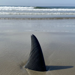 Ian Howie - Carving - Orca Dorsal Fin - Quadra Island Marble - 6"