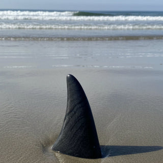 Ian Howie - Carving - Orca Dorsal Fin - Quadra Island Marble - 6"