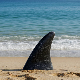 Ian Howie - Carving - Orca Dorsal Fin - Carmanah Black Marble, Franklin River Valley -6"