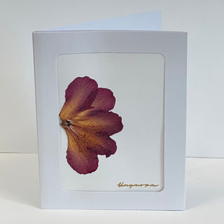 Ehnyawpaw Johidee - Card - Dried Flowers -  - Card - McMillan Arts Centre & MAC Box Office