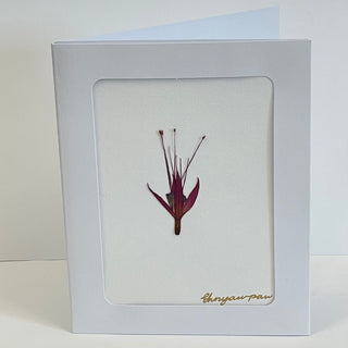 Ehnyawpaw Johidee - Card - Dried Flowers -  - Card - McMillan Arts Centre & MAC Box Office