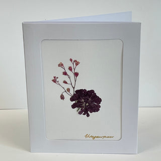 Ehnyawpaw Johidee - Card - Dried Flowers -  - Card - McMillan Arts Centre & MAC Box Office