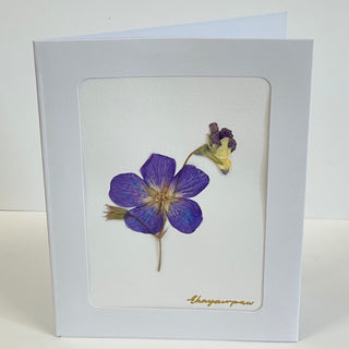 Ehnyawpaw Johidee - Card - Dried Flowers -  - Card - McMillan Arts Centre & MAC Box Office